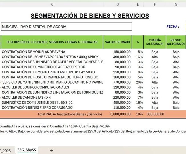 Plantilla para segmentar contrataciones de bienes y servicios
